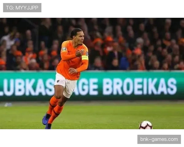 荷兰郁金香足球战术革新引热议，球迷期待新赛季强势表现